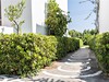 Absolute Kiotari Resort, Rhodos, Greece, zahrada